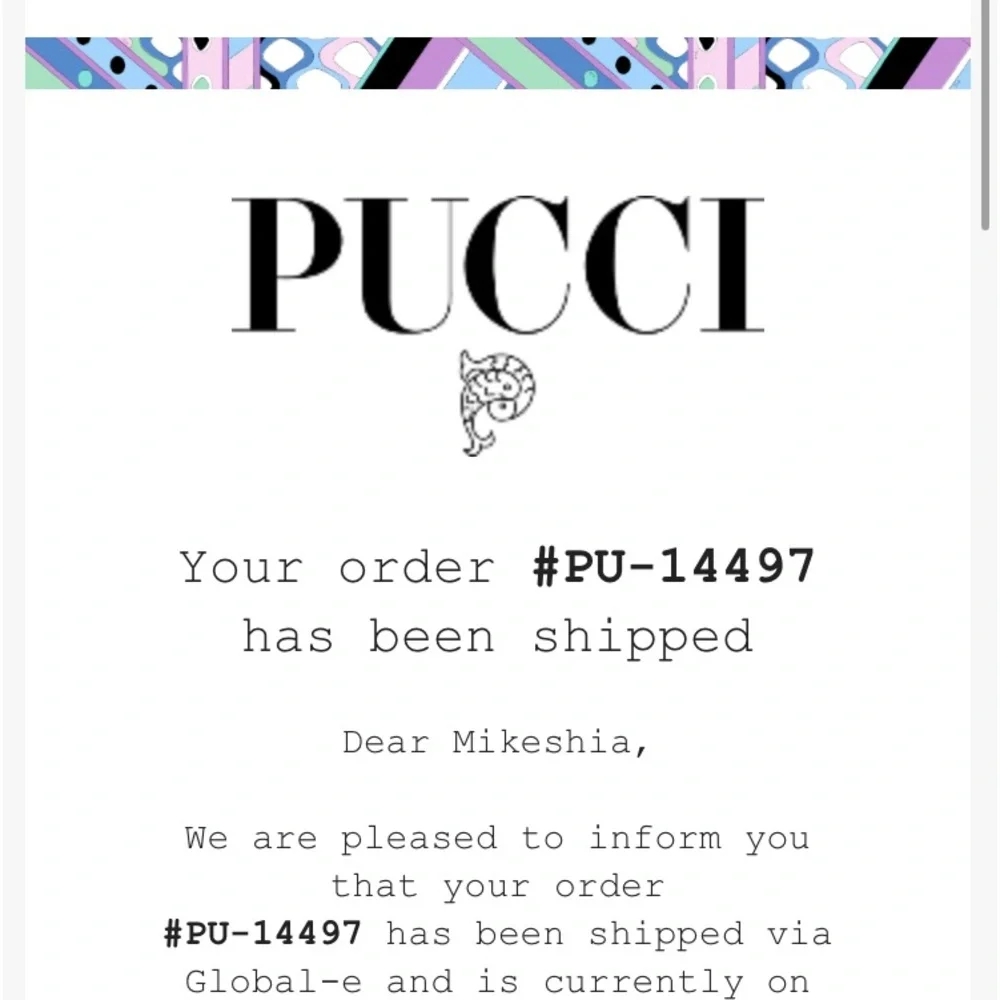 Pucci - Picture 5 of 6
